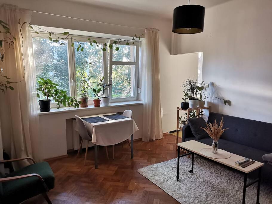 Cozy Studio In The City Centre Near Train Station Bratislava Dış mekan fotoğraf