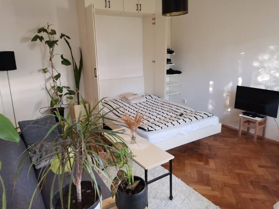 Cozy Studio In The City Centre Near Train Station Bratislava Dış mekan fotoğraf