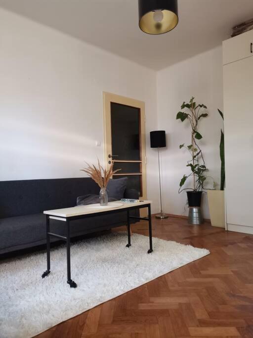 Cozy Studio In The City Centre Near Train Station Bratislava Dış mekan fotoğraf
